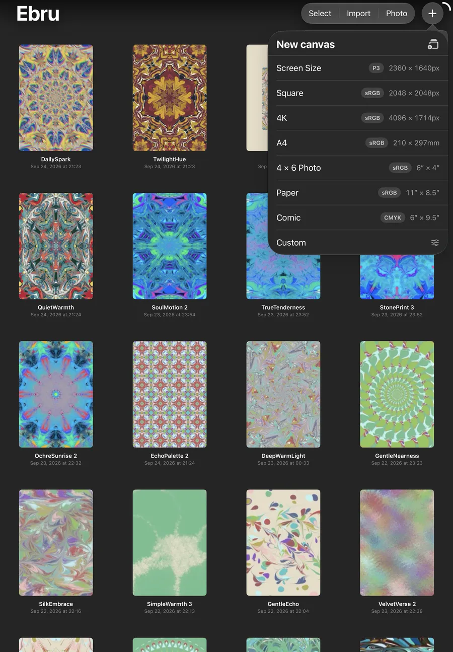 Ebru app — Your gallery, any canvas size