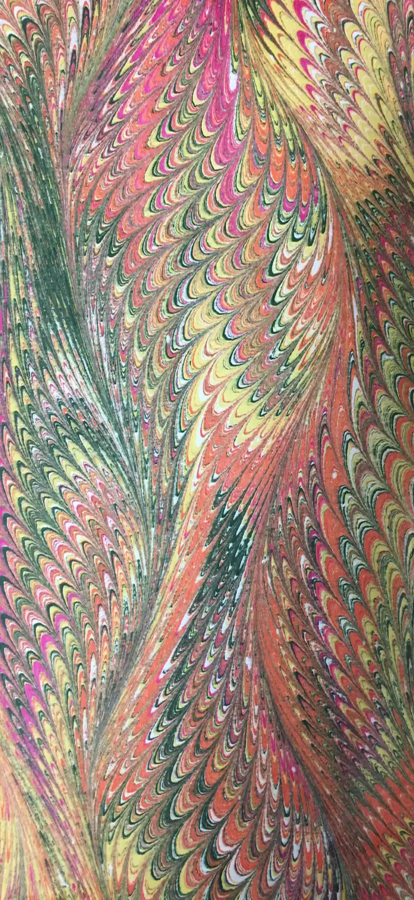 Traditional Ebru: peacock pattern combed from a tide
